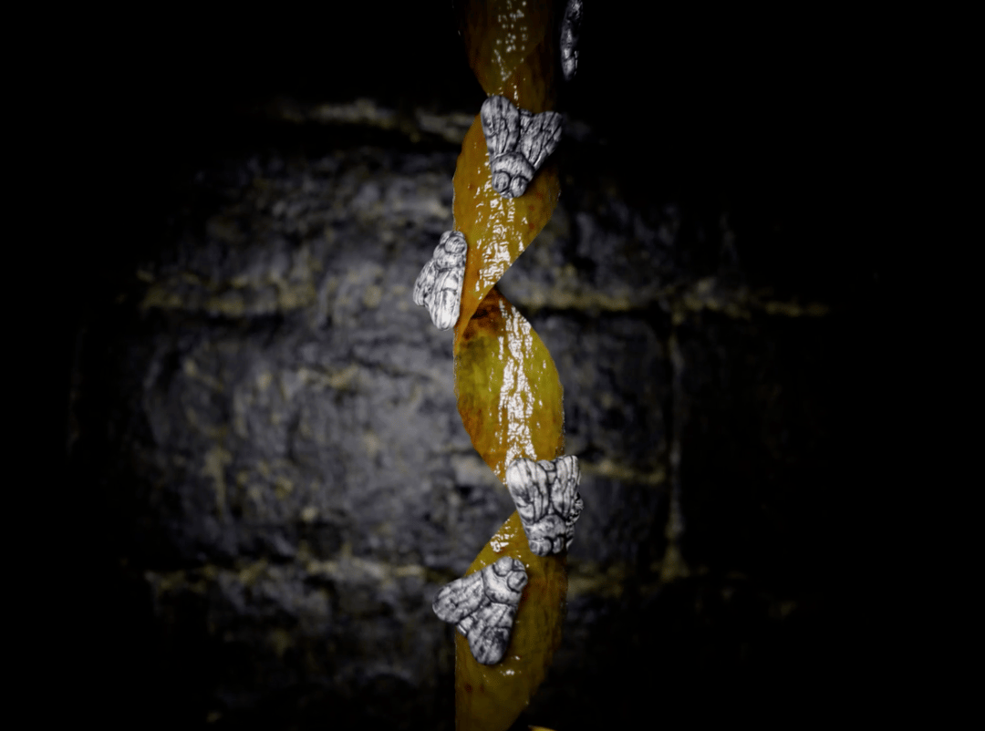 Photo of set Maoupa Mazzocchetti ft. ZULI: Serenade To a Gelatine.