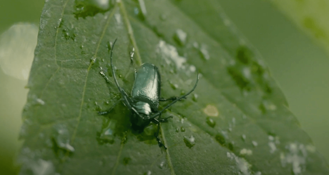 Photo of set patten: 3049.