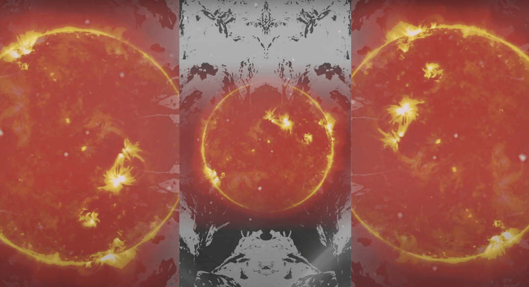 Photo of set SpaceAffect: Limbless Tree.