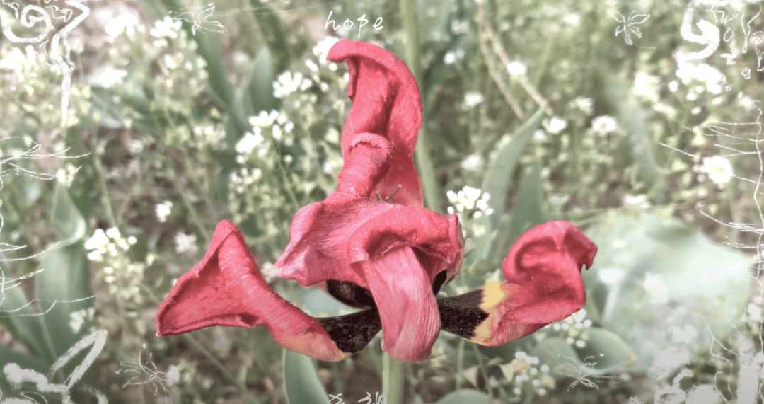 Photo of set Yikii - Afterimage In Ruin 廢墟残像.