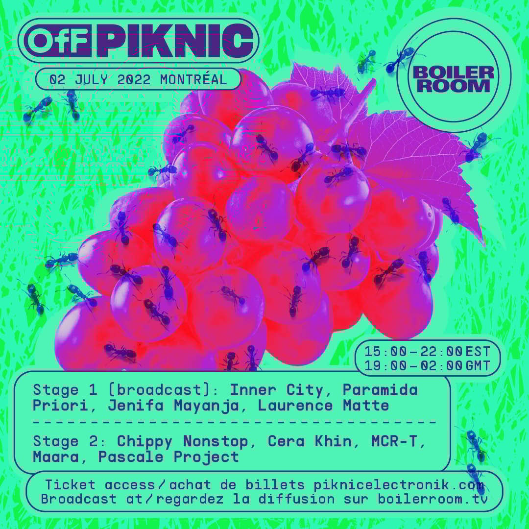 Piknic Électronik flyer